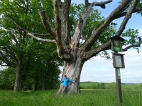 PavlaCzechVisit 211 : PavlaCzechVisit